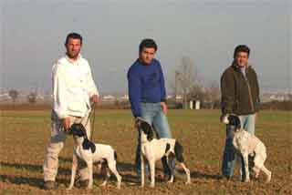 DilandemArgo
