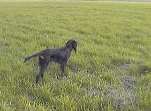 ���������� �� ������� ������� ������